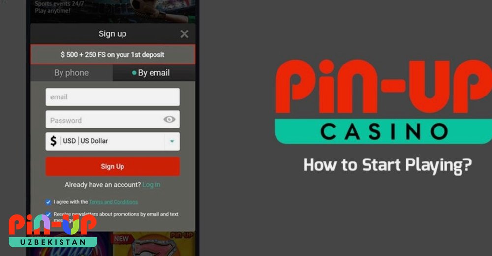 PIN UP kirish formasi — telefon va email